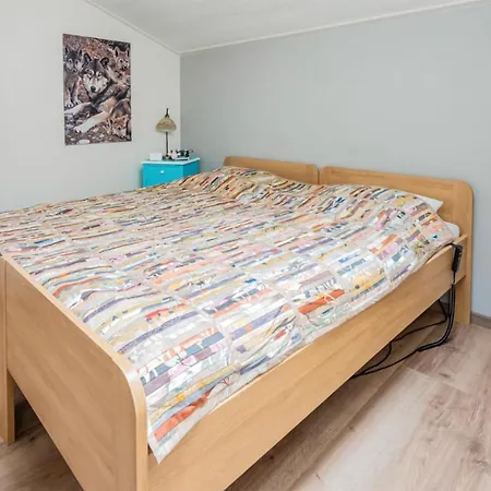 Pet Friendly In Holiday home Beltrum