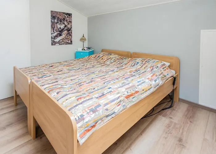 Pet Friendly In Holiday home Beltrum