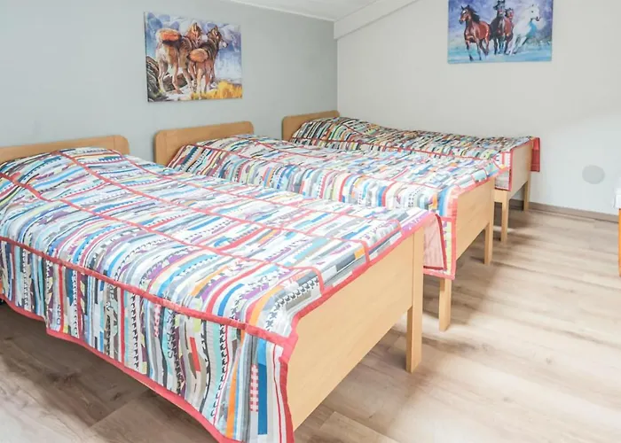 Pet Friendly In Holiday home Beltrum