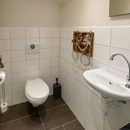 Pet Friendly In * Beltrum